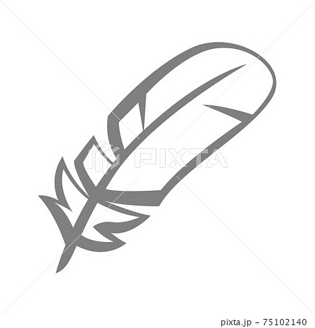 Illustration of bird feather. 75102140