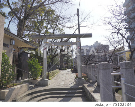 松戸神社　千葉県松戸市 75102534
