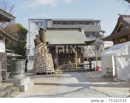 松戸神社　千葉県松戸市 75102535