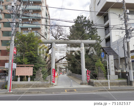 松戸神社　千葉県松戸市 75102537