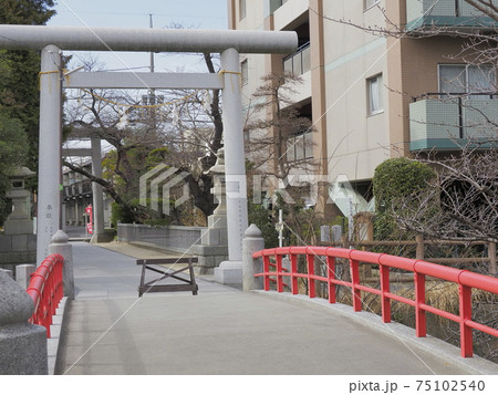 松戸神社　千葉県松戸市 75102540