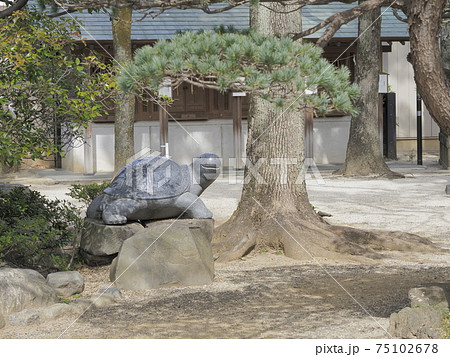 松戸神社　千葉県松戸市 75102678