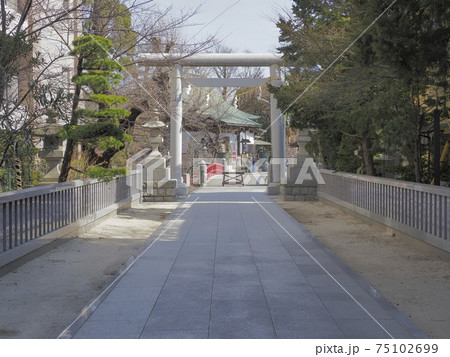 松戸神社 千葉県松戸市 松戸神社 千葉県松戸市 75102699