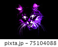 Purple face of angry cat on black background 75104088