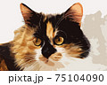 Abstract image of cat in brush drawing style portrait closeup 75104090