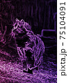 Abstract image of purple cat on ablack background 75104091
