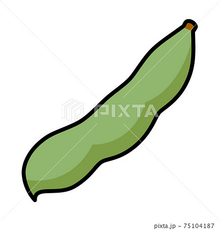 そら豆 1莢 白バック カットイラスト素材 75104187