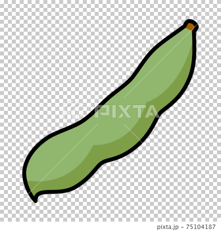 そら豆 1莢 白バック カットイラスト素材 75104187