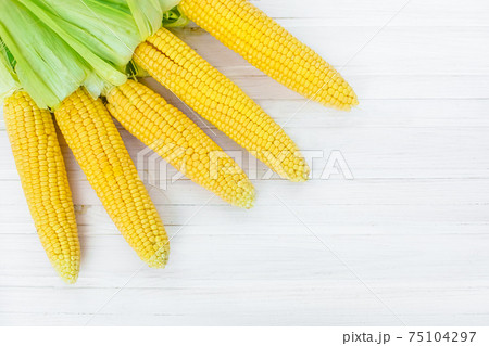 A close-up of corn produced in a rustic garden A close-up of corn produced in a rustic garden 75104297