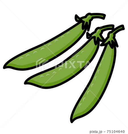 サヤエンドウ 3莢 白バック カットイラスト 素材 75104640