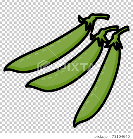サヤエンドウ 3莢 白バック カットイラスト 素材 75104640