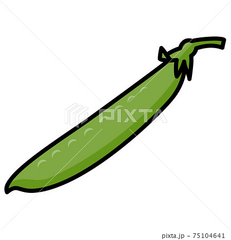サヤエンドウ 1莢 白バック カットイラスト 素材 75104641