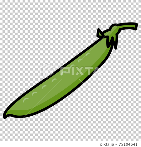 サヤエンドウ 1莢 白バック カットイラスト 素材 75104641