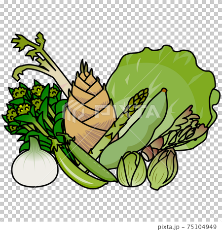 Vegetables in season in spring Summary White background cut illustration material Vegetables in season in spring Summary White background cut illustration material 75104949