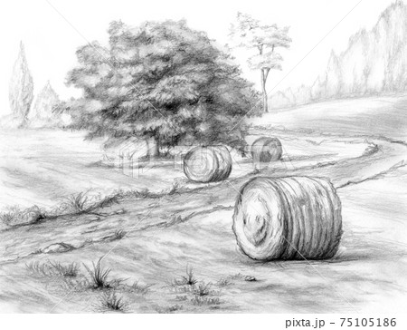 Graphite rural landscape with haystacks 75105186