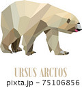 Polar Bear 75106856