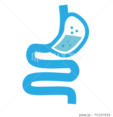 healthy digestion logo. stomach icon on white background. human stomach and gastrointestinal system. flat style. healthy digestion logo. stomach icon on white background. human stomach and gastrointestinal system. flat style. 75107929