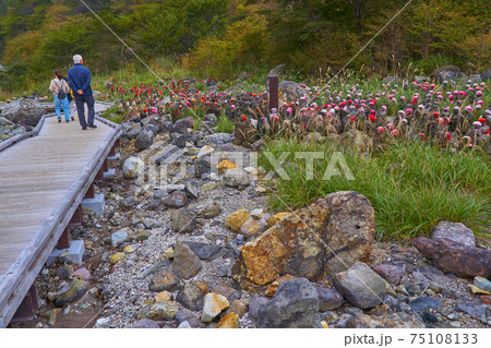 栃木県那須高原の史跡 千体地蔵(せんたいじぞう) 栃木県那須高原の史跡 千体地蔵(せんたいじぞう) 75108133