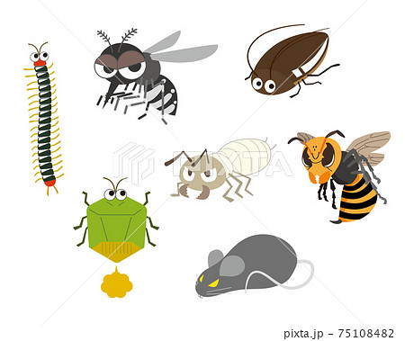 色々な害虫のセットイラストのイラスト素材