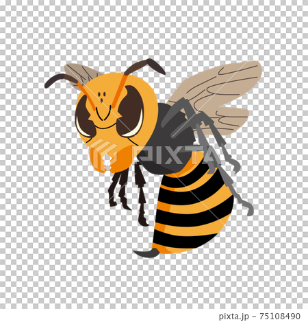 スズメバチのイラスト 75108490