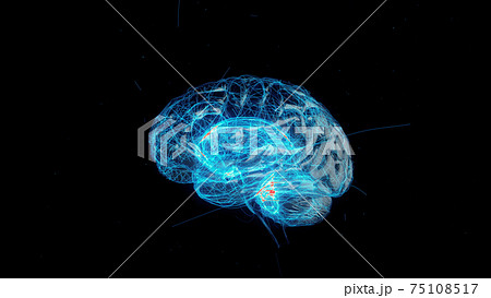 3d rendered illustration of Digital Technology of a Human Brain 75108517
