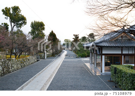 京都 天龍寺 参道 朝 無人 京都 天龍寺 参道 朝 無人 75108979
