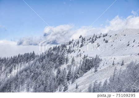 美ヶ原公園沖線沿いの雪景色 75109295
