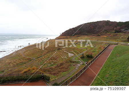 輪島市の白米千枚田 75109307
