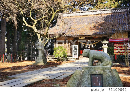 城下町盛岡の観光名所　盛岡天満宮の有名な狛犬 75109842