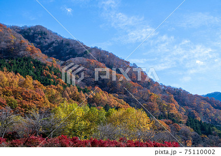 湯檜曽公園付近　秋の風景　　　　　 75110002