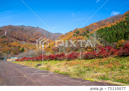 湯檜曽公園付近　秋の風景　　　　　 75110077