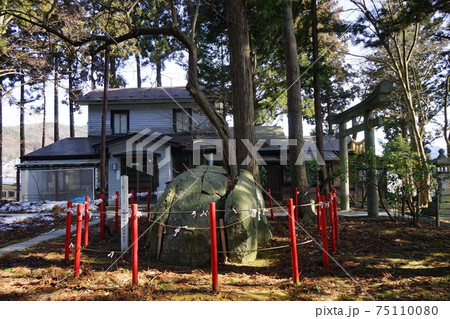 城下町盛岡の観光名所　盛岡天満宮の石割梅 75110080