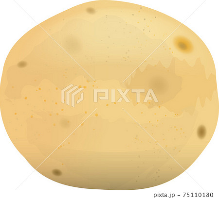 シンプルで可愛いじゃがいものイラスト素材