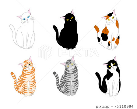 首をかしげる猫のイラスト素材