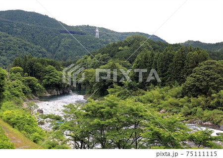 紫陽花の里：根尾路・7（岐阜県本巣市佐原） 75111115