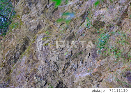 地層切断面 75111130