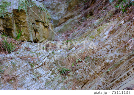 地層切断面 75111132