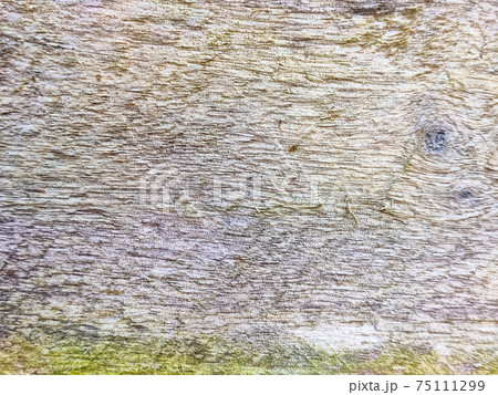 Wood texture background surface old natural pattern 75111299