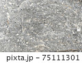 Close up natural rock texture 75111301