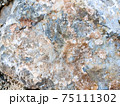 Close up natural rock texture 75111302