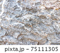 Close up natural rock texture 75111305