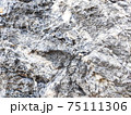 Close up natural rock texture 75111306
