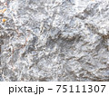 Close up natural rock texture 75111307