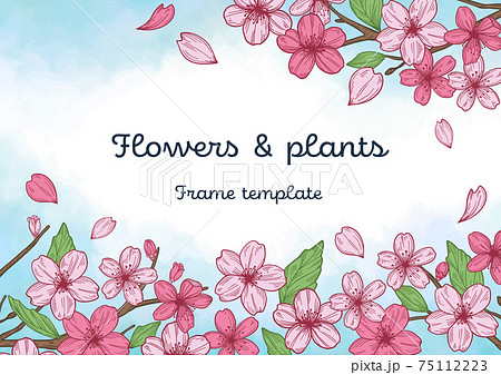 桜の花のフレームテンプレートのイラスト素材
