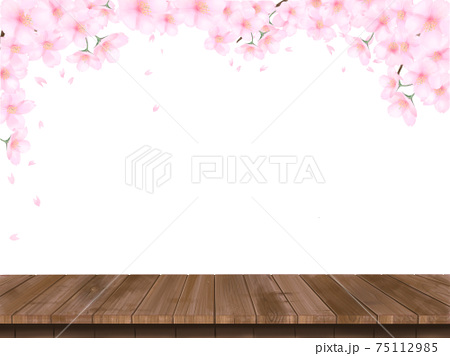 桜の花とウッドデッキの春の白バック背景素材イラストのイラスト素材
