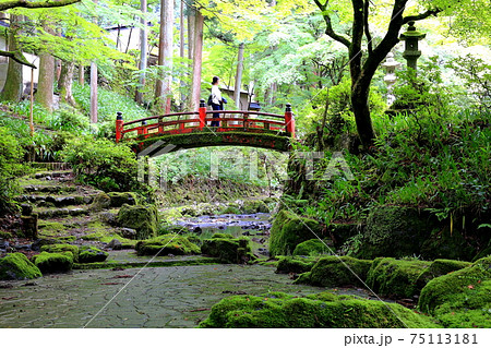 両界山横蔵寺散策・77（岐阜県揖斐郡揖斐川町横蔵） 75113181