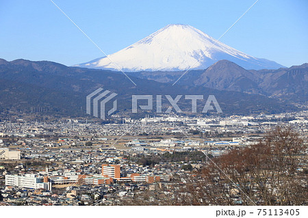 小田原市 曽我梅林 見晴台からの富士山と梅 小田原市 曽我梅林 見晴台からの富士山と梅 75113405