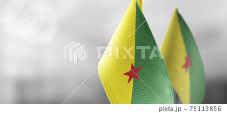 Patch of the national flag of the French Guiana on a white t-shirt Patch of the national flag of the French Guiana on a white t-shirt 75113856
