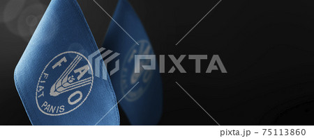 Small national flags of the Food and agriculture organization on a dark background 75113860