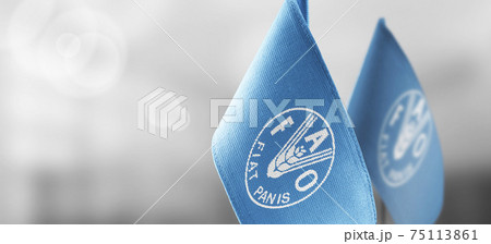 Patch of the national flag of the Food and agriculture organization on a white t-shirt Patch of the national flag of the Food and agriculture organization on a white t-shirt 75113861